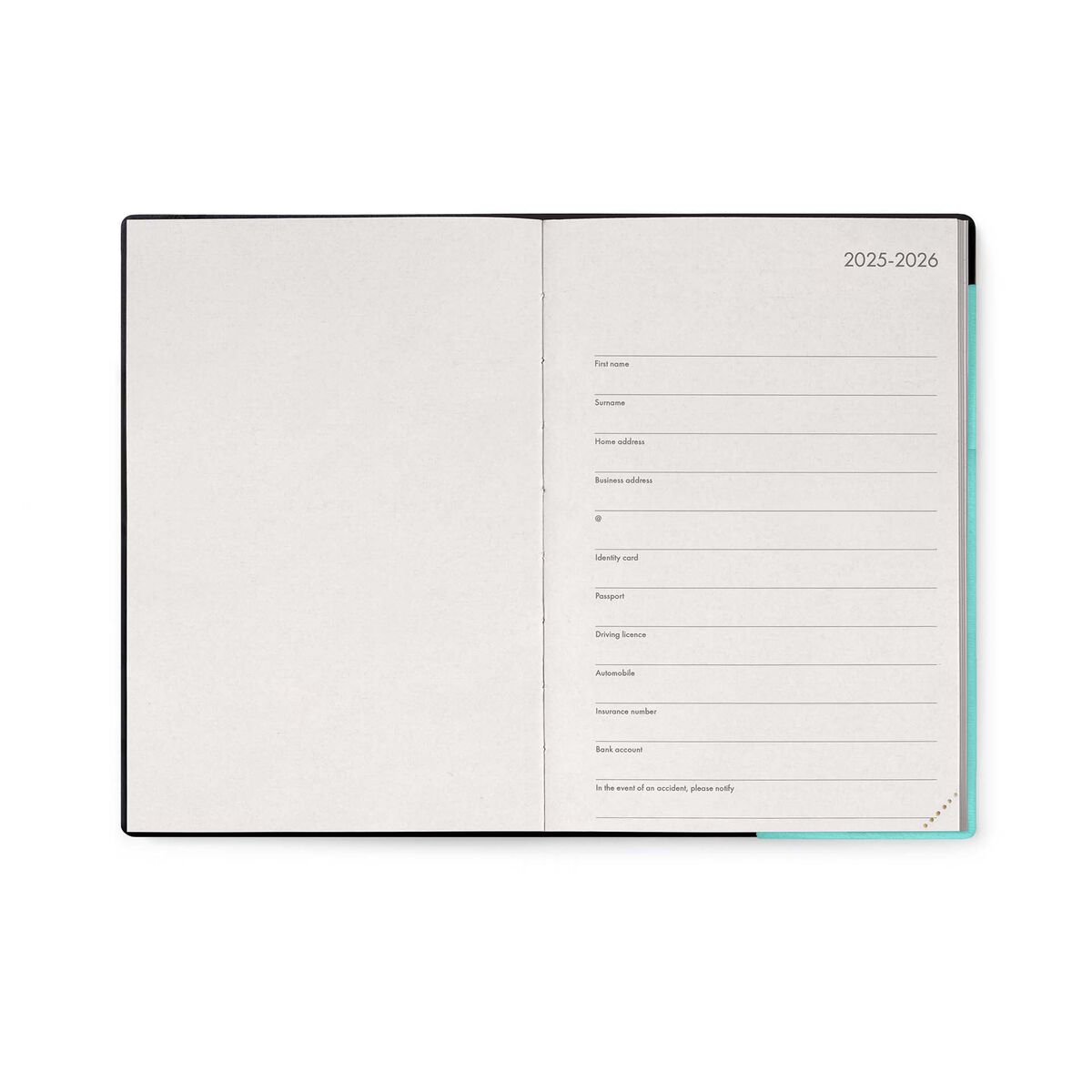 16-Month Daily Diary for 2025/2026 - Aquatic Awe