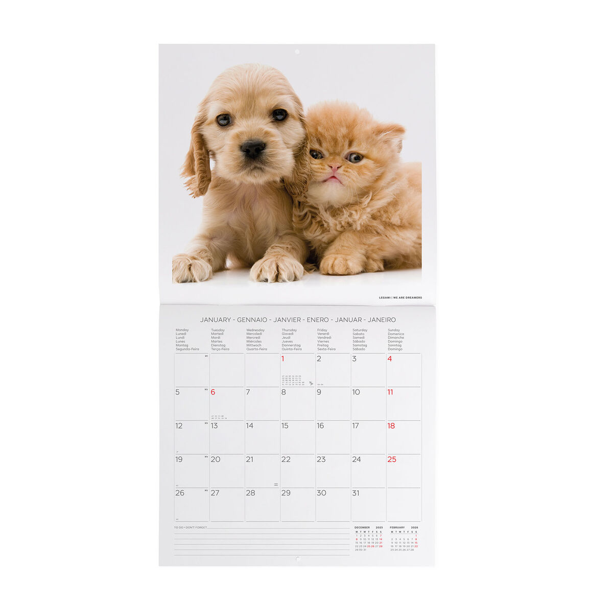 2026 Wall Calendar - 30 x 29 cm