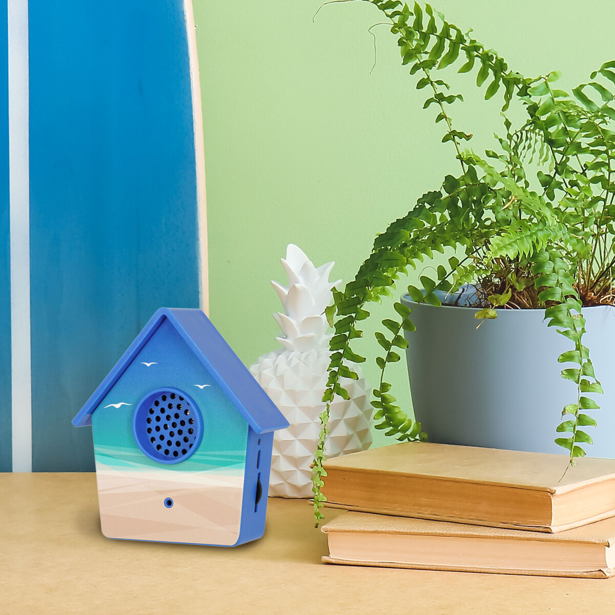 Birdsong Box - The Sound of Nature