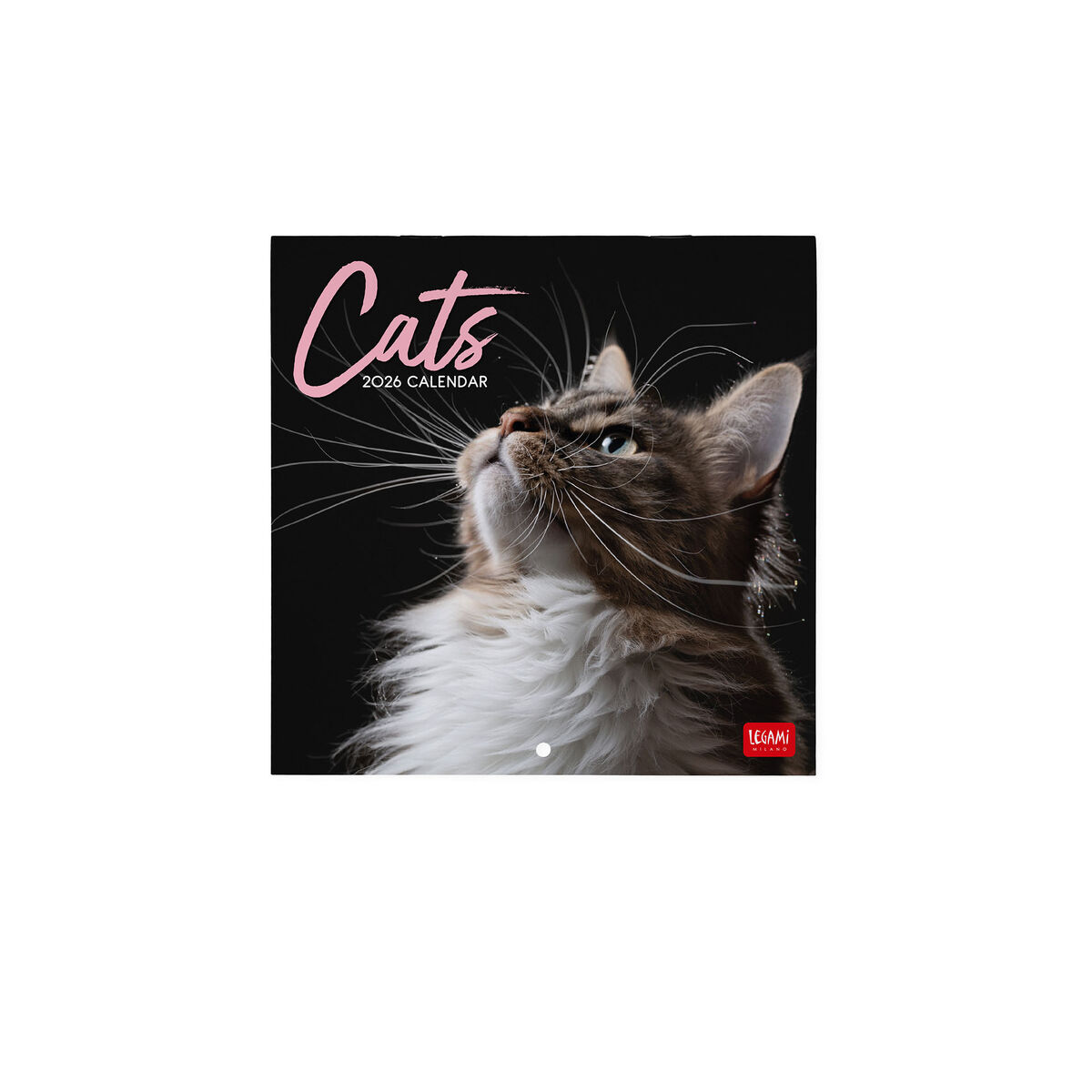 2026 Wall Calendar - 18 x 18 cm