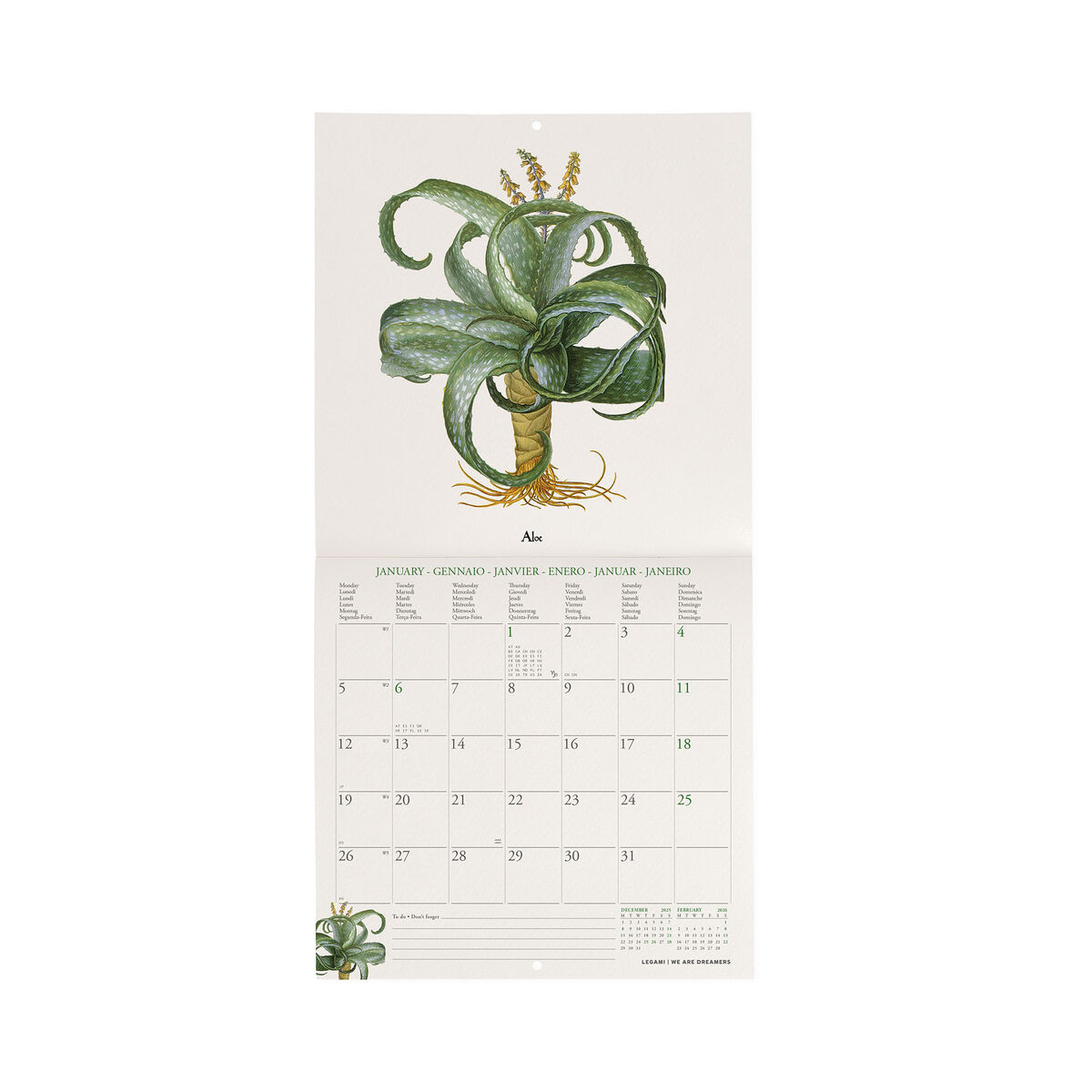 2026 Wall Calendar - 18 x 18 cm