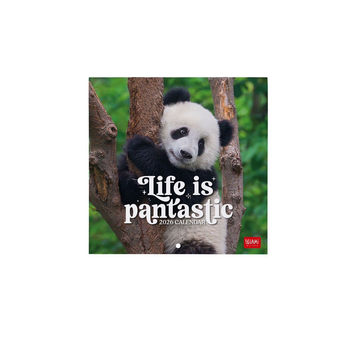 2026 Wall Calendar - 18 x 18 cm