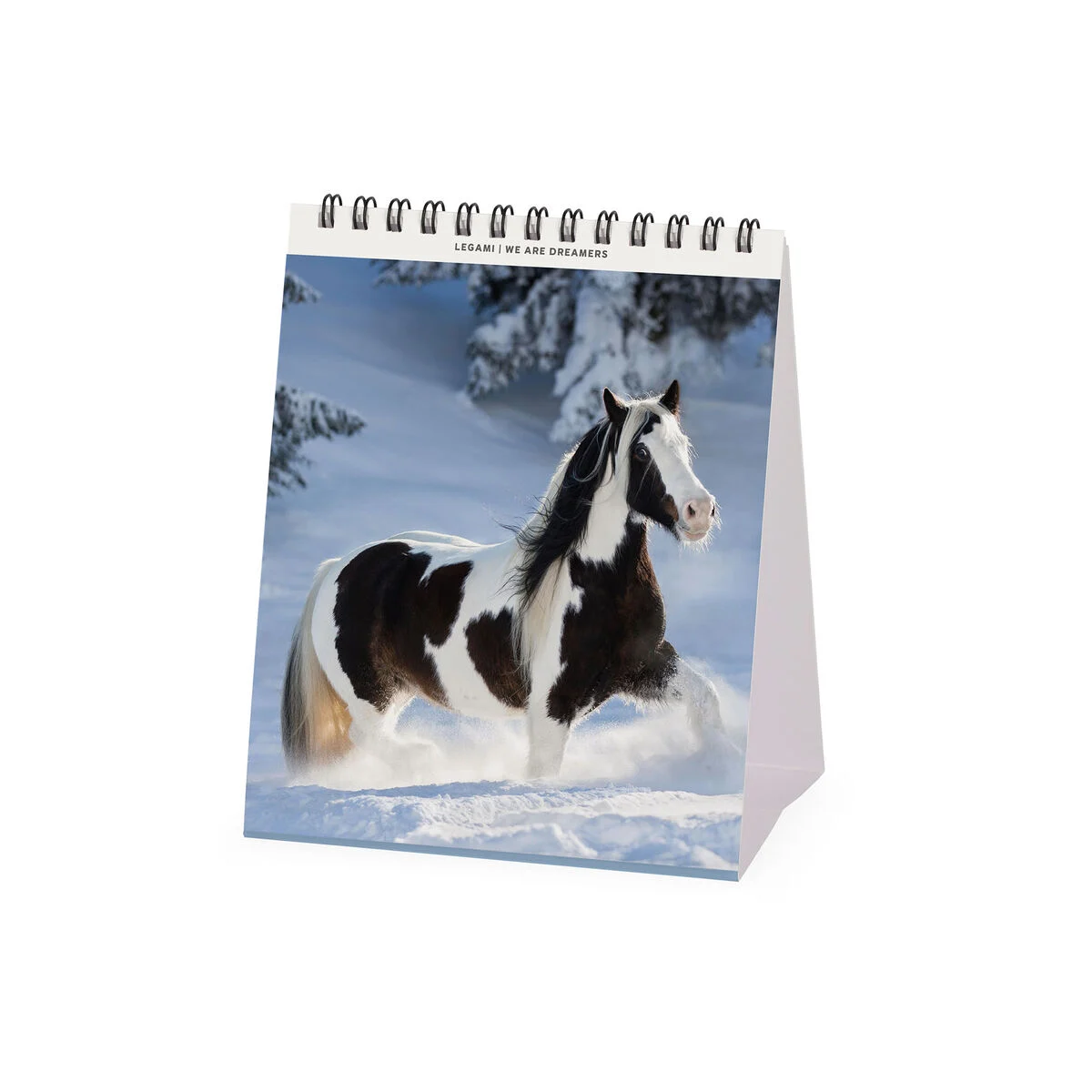 2026 Desk Calendar - 12 x 14,5 cm