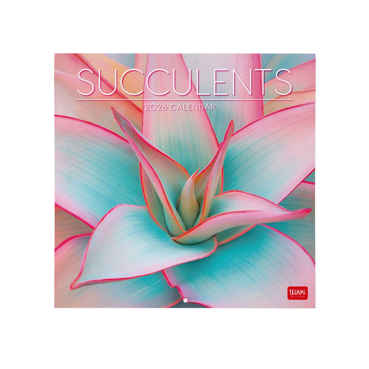 2026 Wall Calendar - 30 x 29 cm