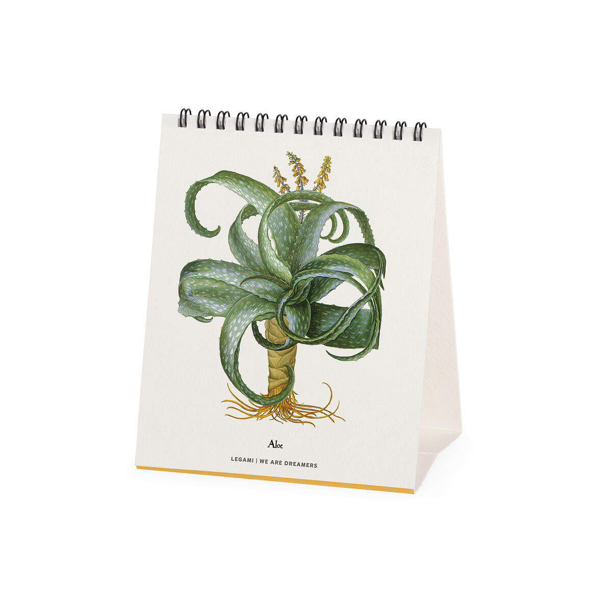 2026 Desk Calendar - 12 x 14,5 cm