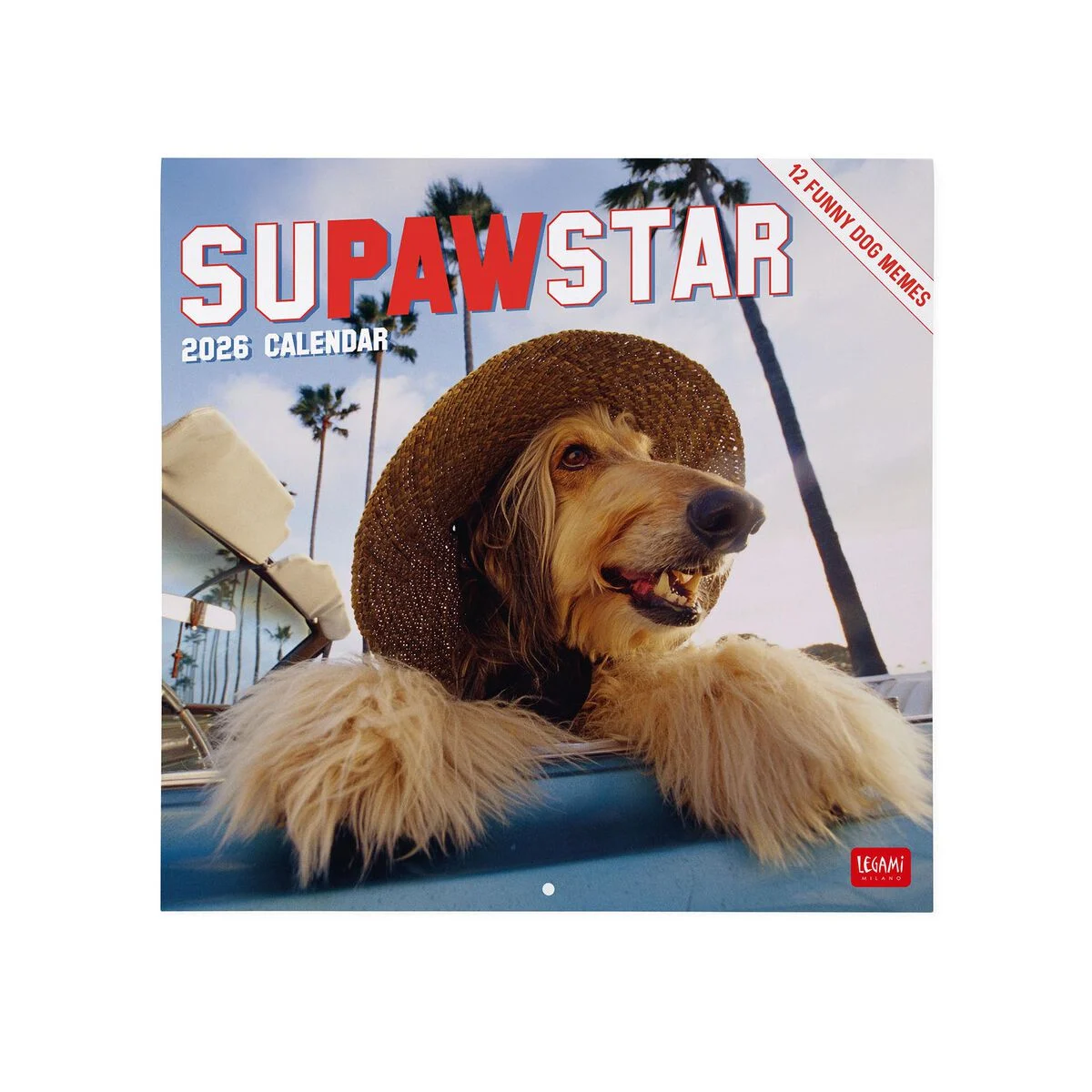 2026 Wall Calendar - 30 x 29 cm