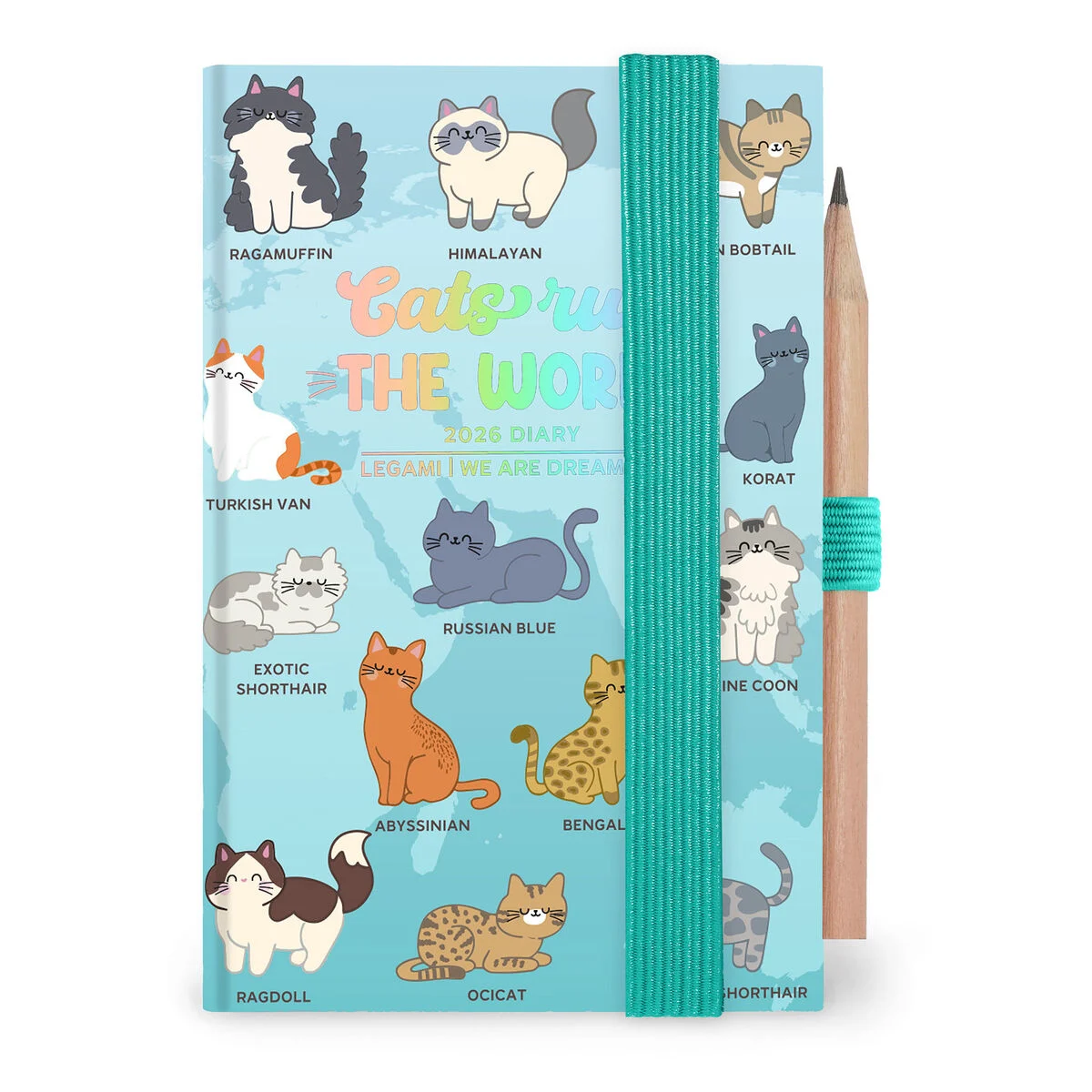 12-Month Mini 2-Day Photo Diary - 2026