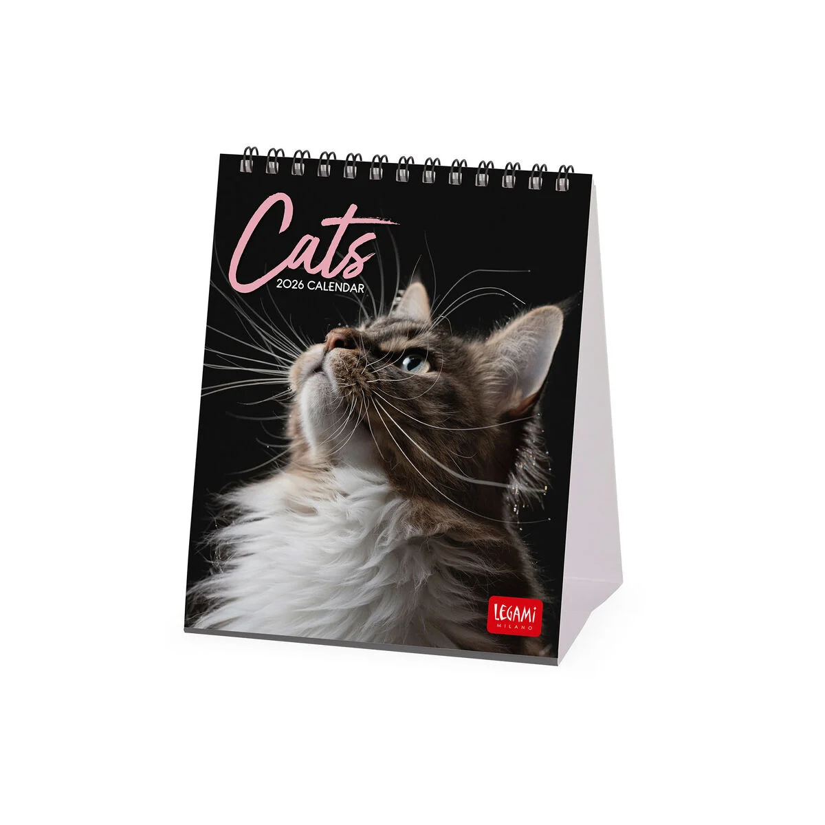 2026 Desk Calendar - 12 x 14,5 cm