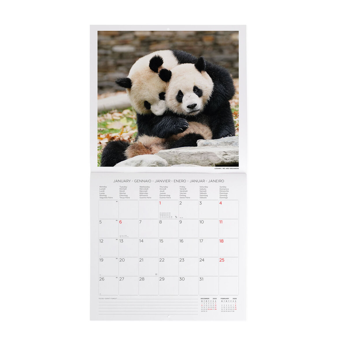 2026 Wall Calendar - 30 x 29 cm
