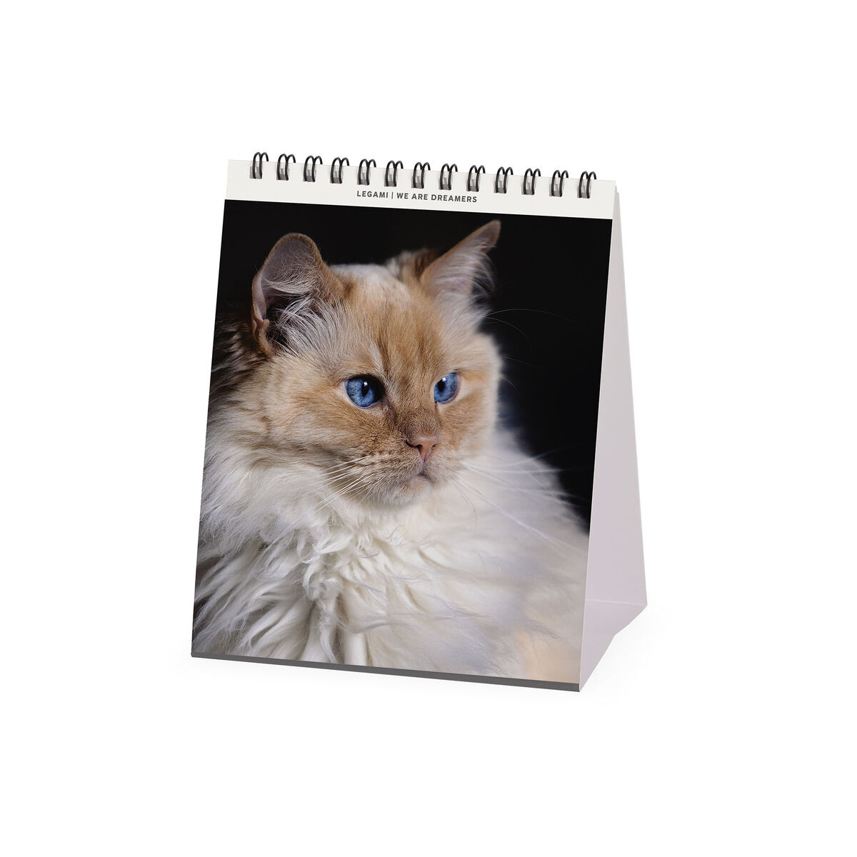 2026 Desk Calendar - 12 x 14,5 cm
