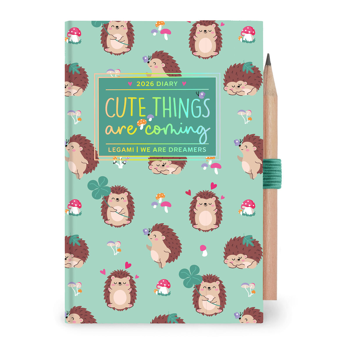 12-Month Mini 2-Day Photo Diary - 2026