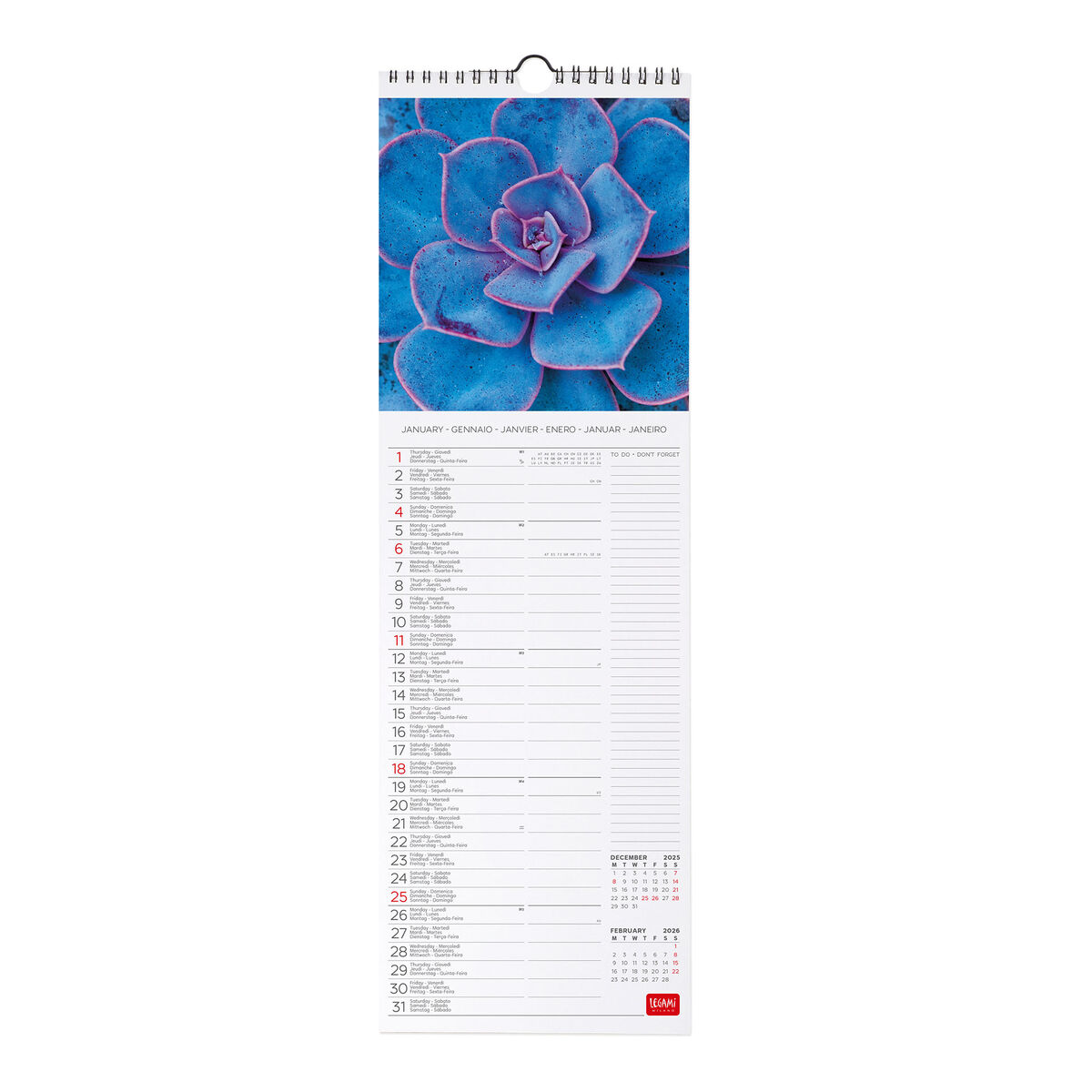 2026 Wall Calendar - 16 x 49 cm