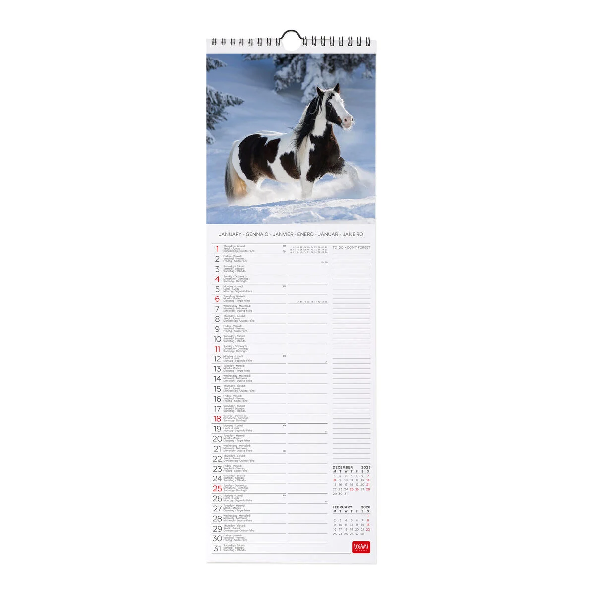 2026 Wall Calendar - 16 x 49 cm