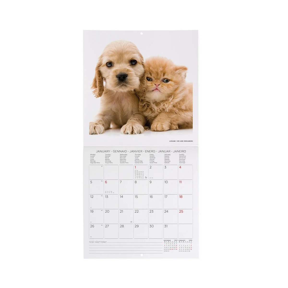 2026 Wall Calendar - 18 x 18 cm