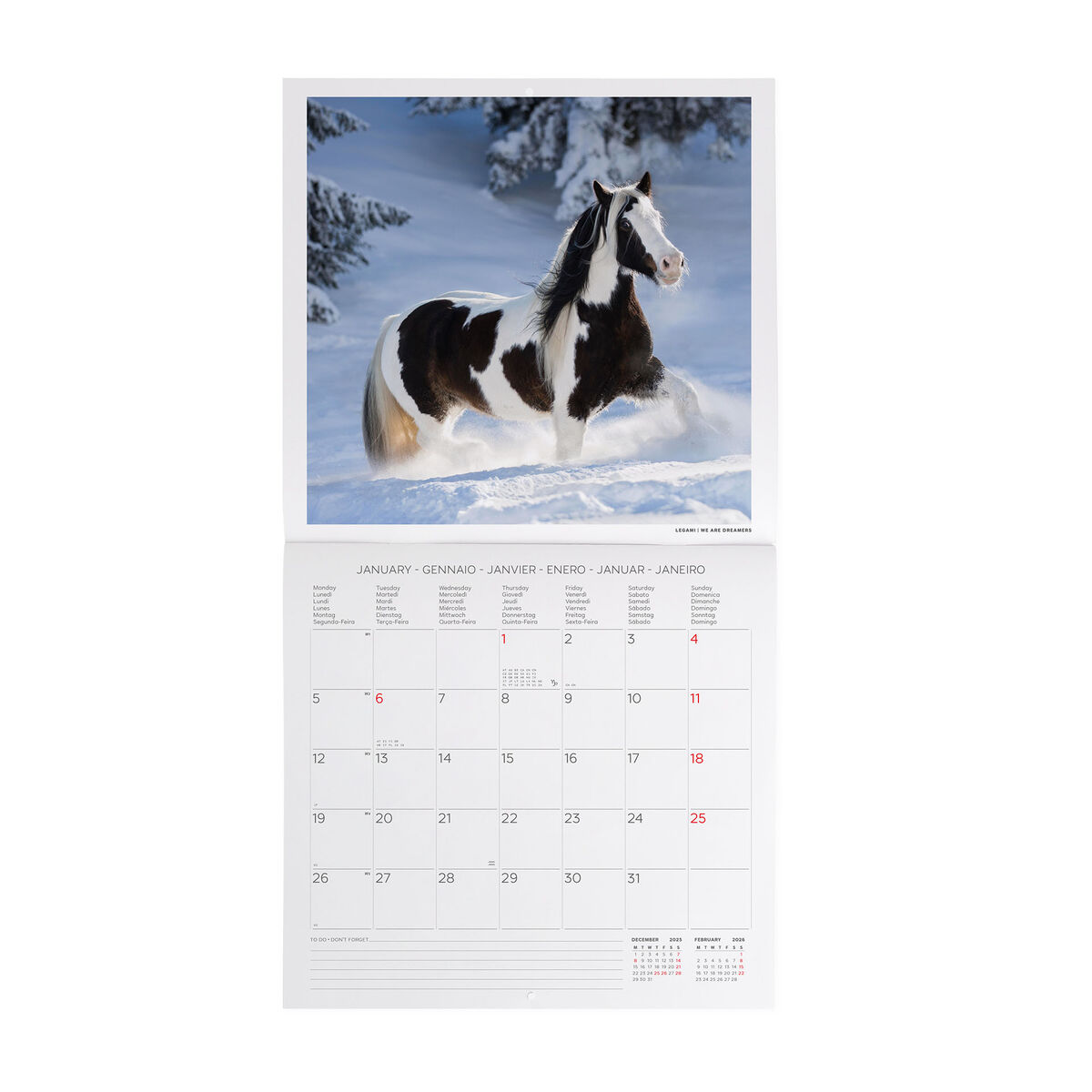 2026 Wall Calendar - 30 x 29 cm