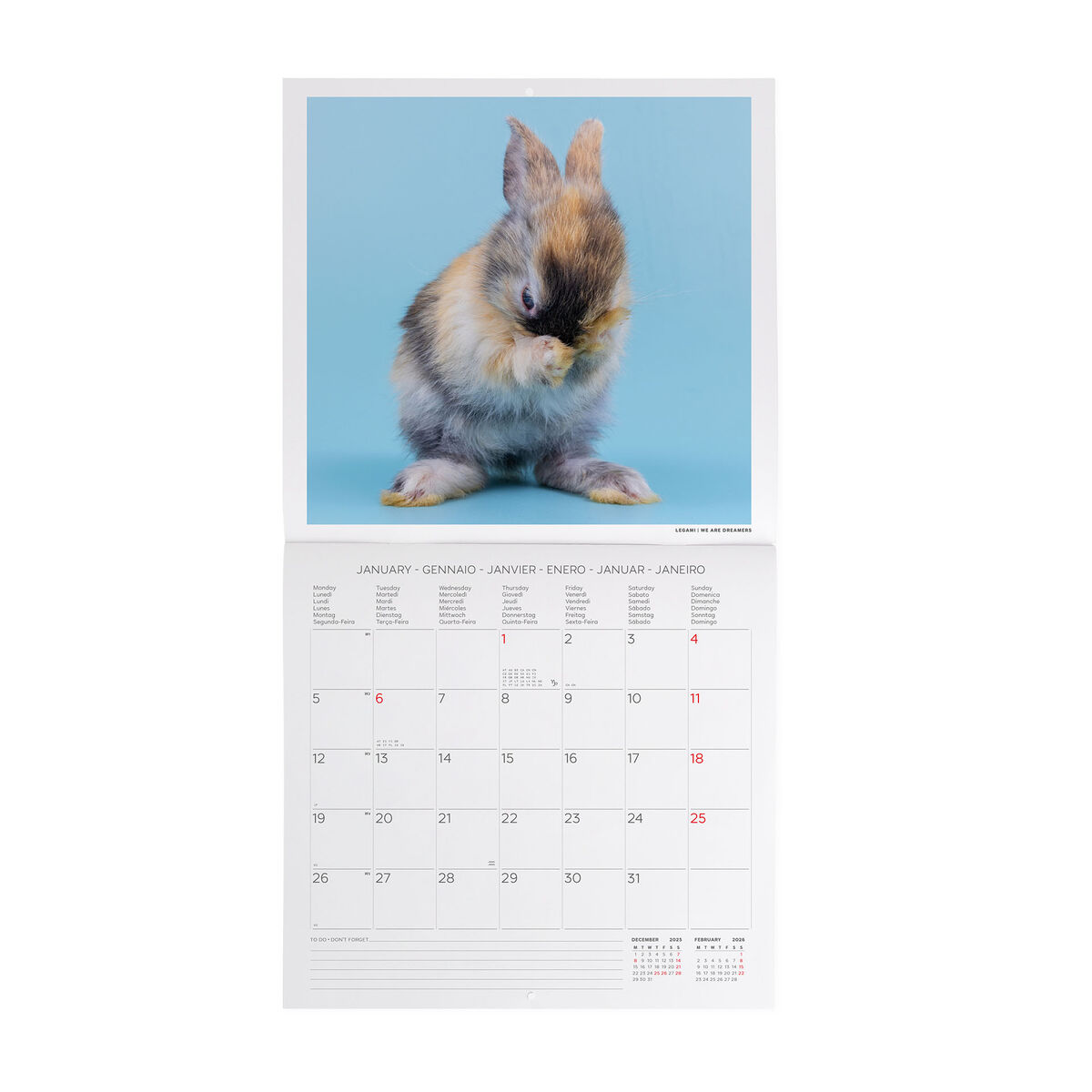 2026 Wall Calendar - 30 x 29 cm