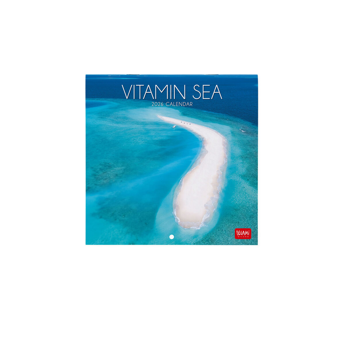 2026 Wall Calendar - 18 x 18 cm