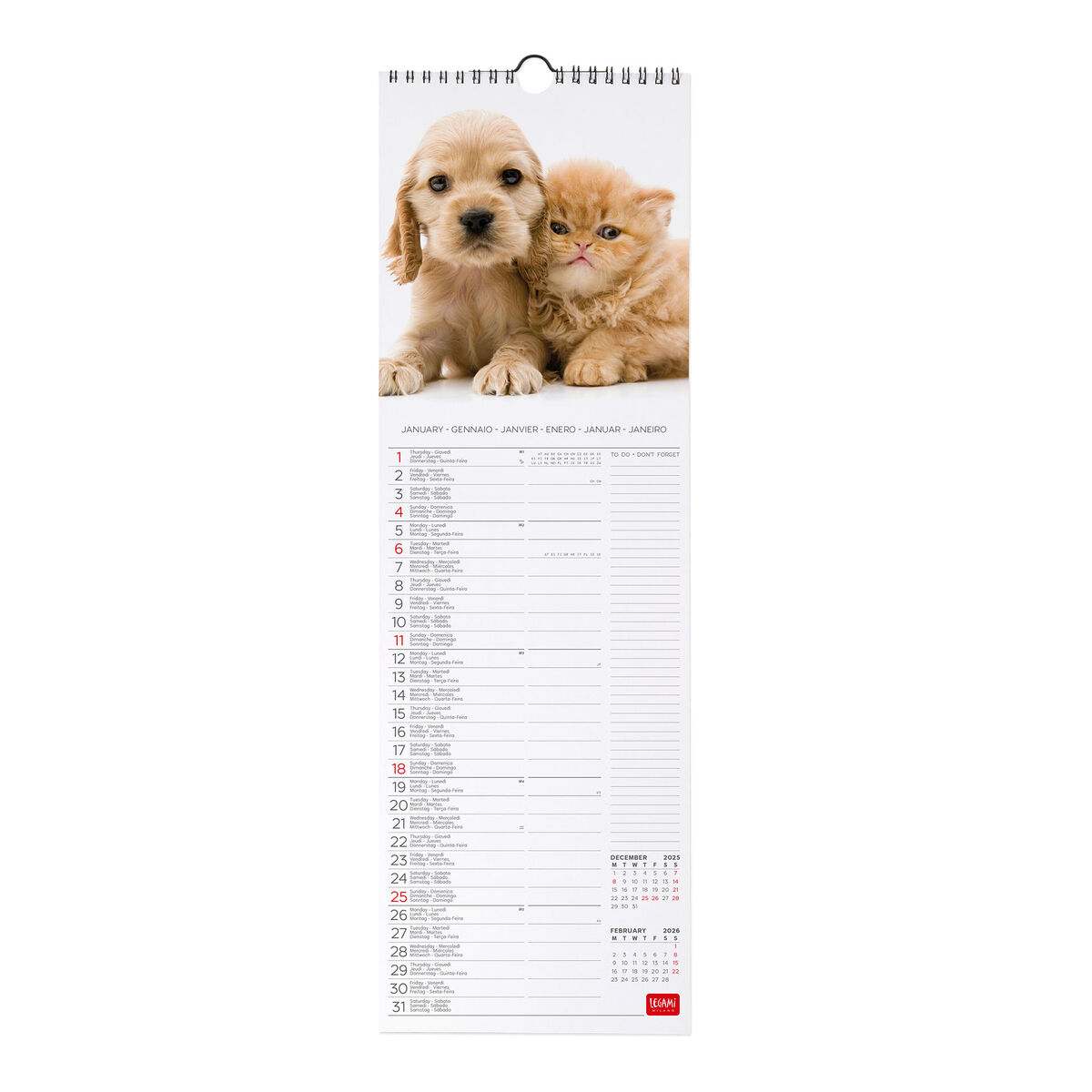 2026 Wall Calendar - 16 x 49 cm