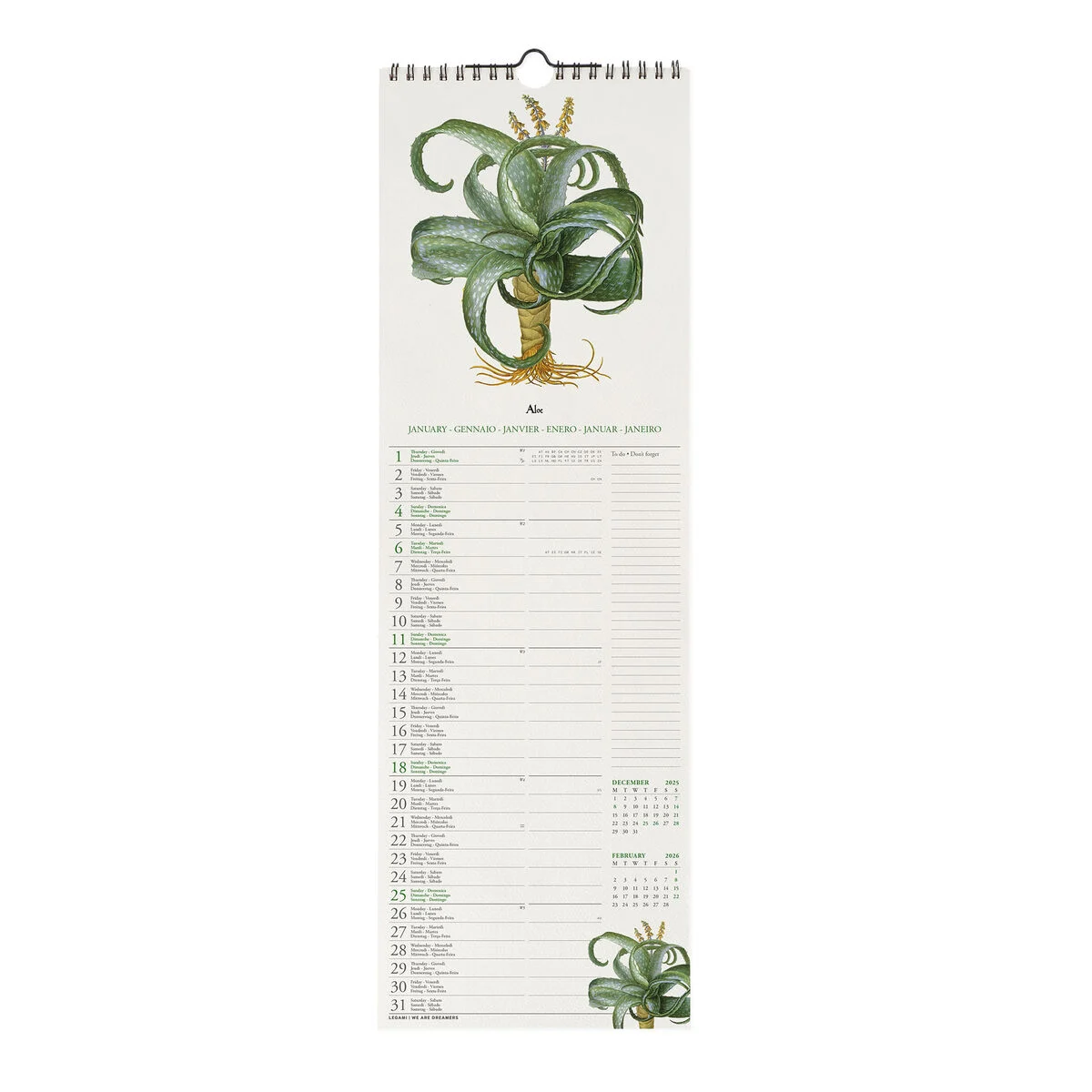 2026 Wall Calendar - 16 x 49 cm
