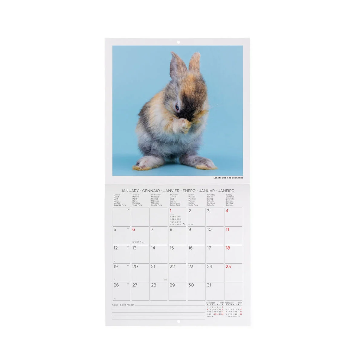 2026 Wall Calendar - 18 x 18 cm