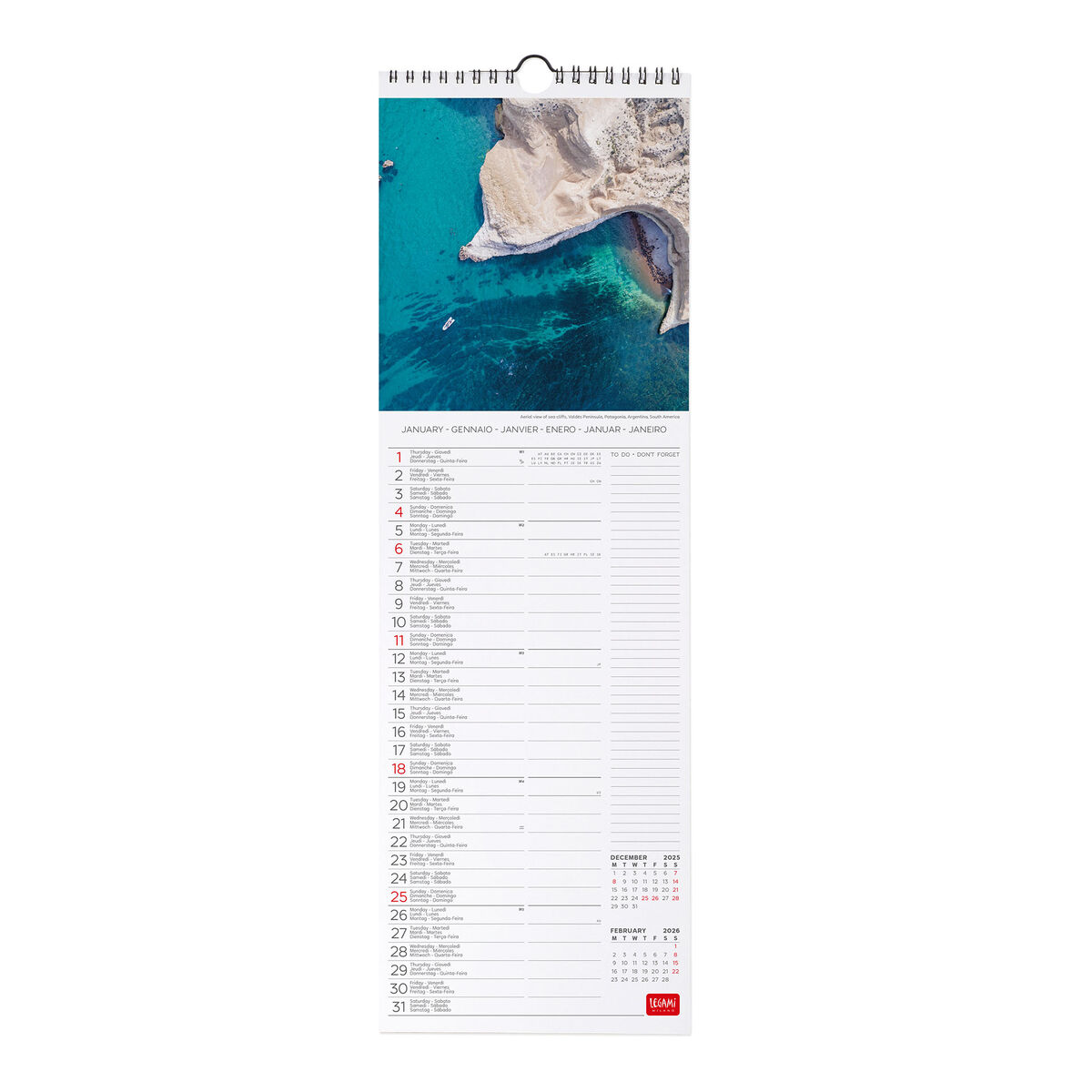 2026 Wall Calendar - 16 x 49 cm