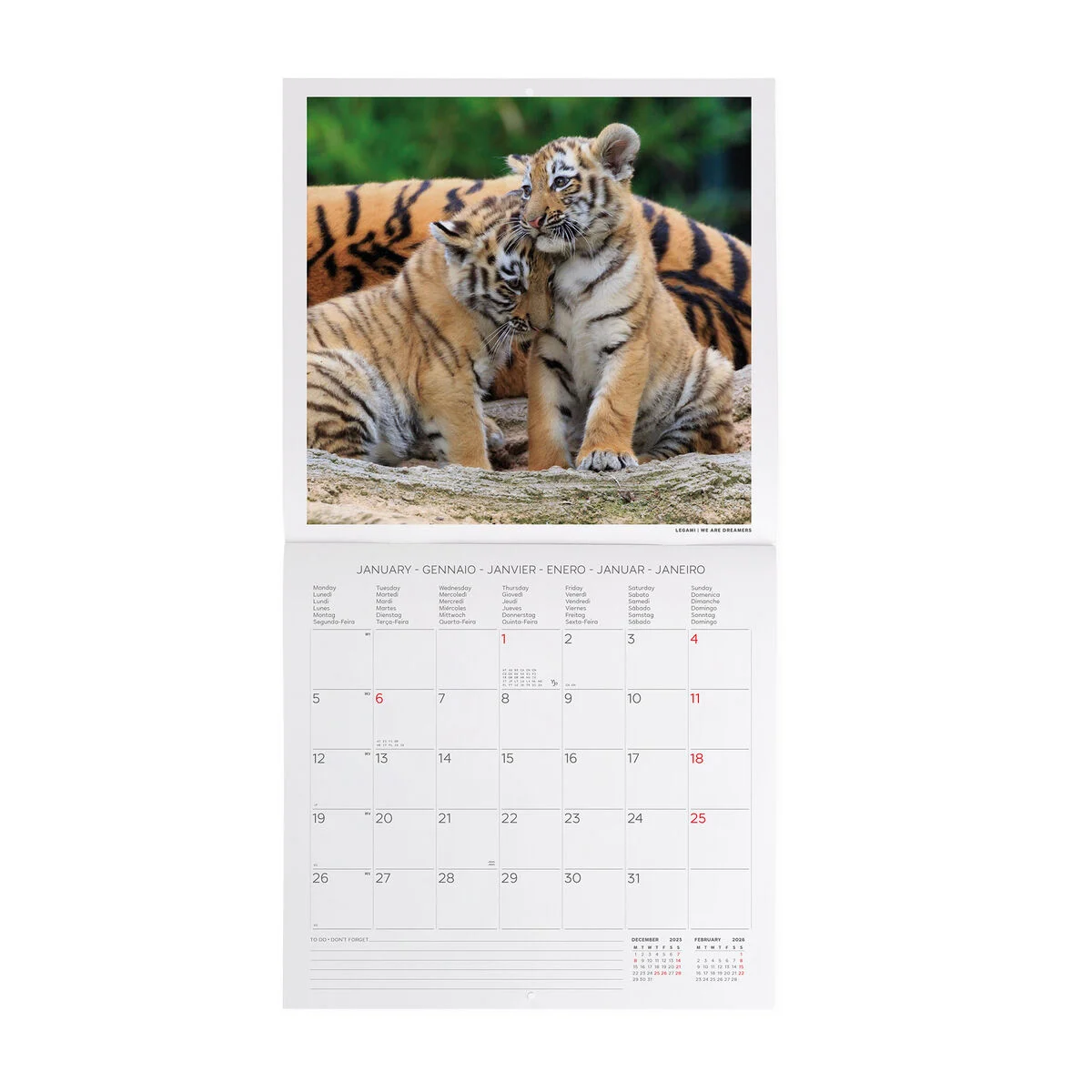 2026 Wall Calendar - 30 x 29 cm