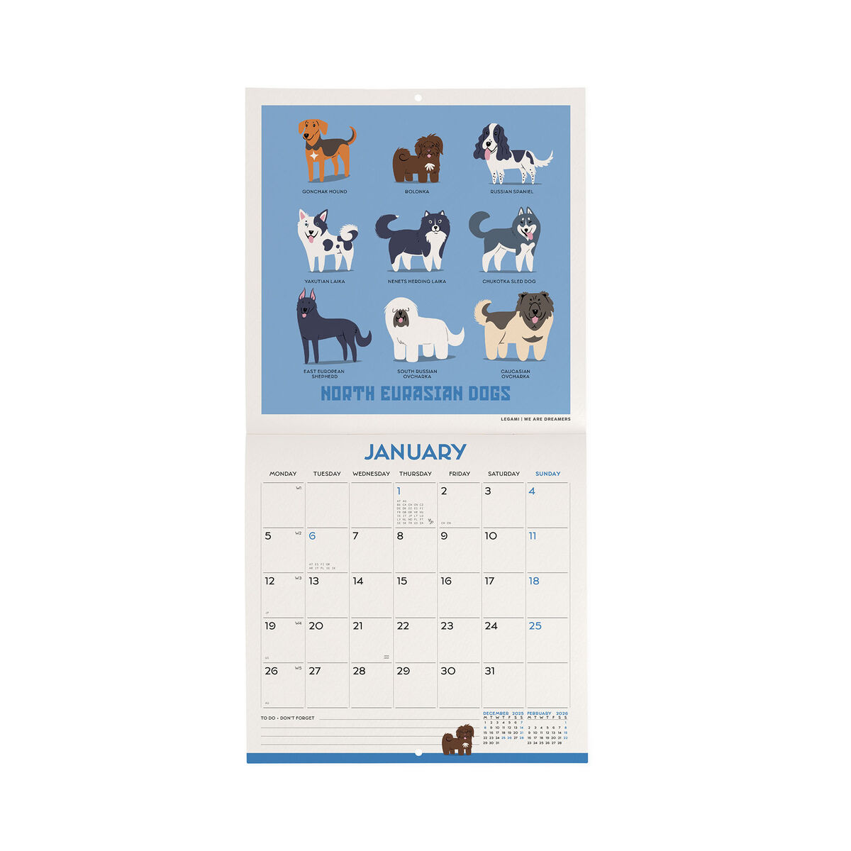 2026 Wall Calendar - 18 x 18 cm
