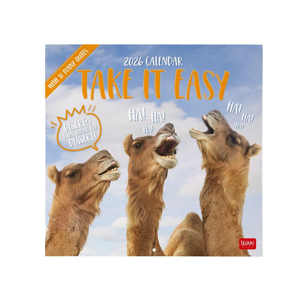 2026 Wall Calendar - 30 x 29 cm