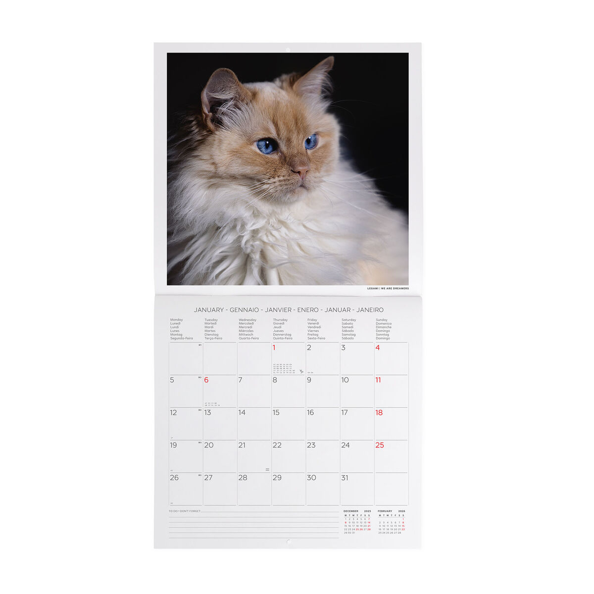 2026 Wall Calendar - 30 x 29 cm