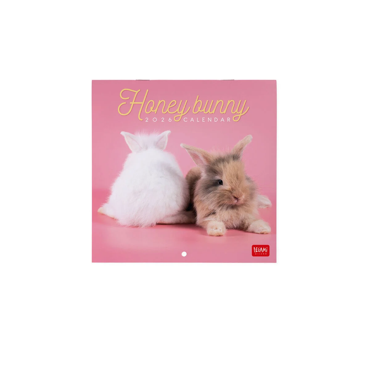 2026 Wall Calendar - 18 x 18 cm