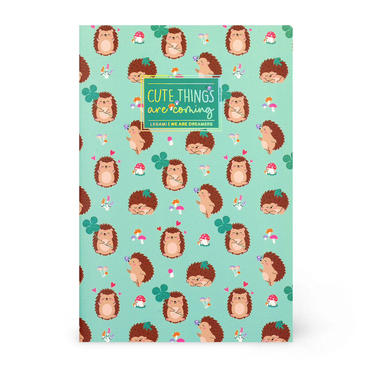 A6 Lined Notebook with Illustrated Hard Cover - Hedgehog