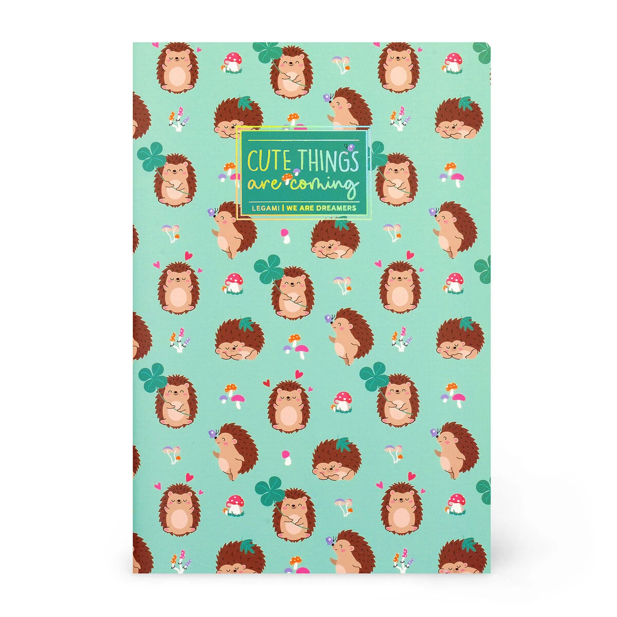B5 Lined Notebook with Illustrated Hard Cover - Hedgehog