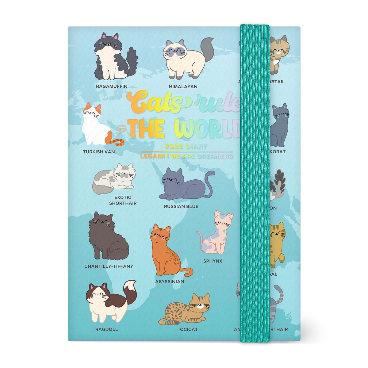 12-Month Mini Weekly Photo Diary - 2026