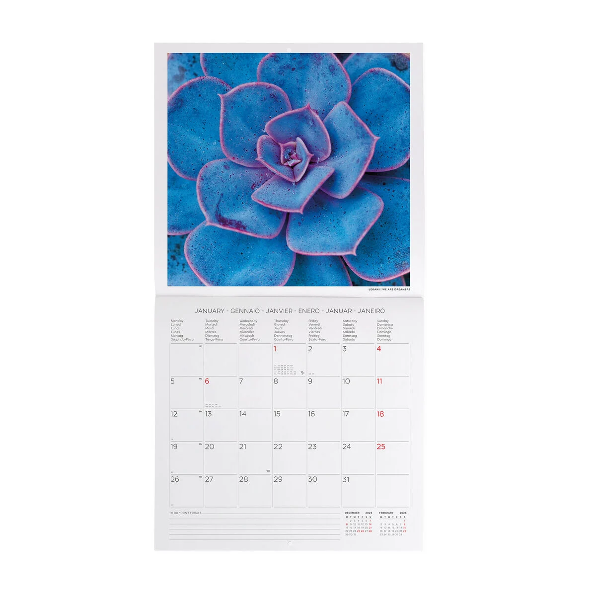 2026 Wall Calendar - 30 x 29 cm