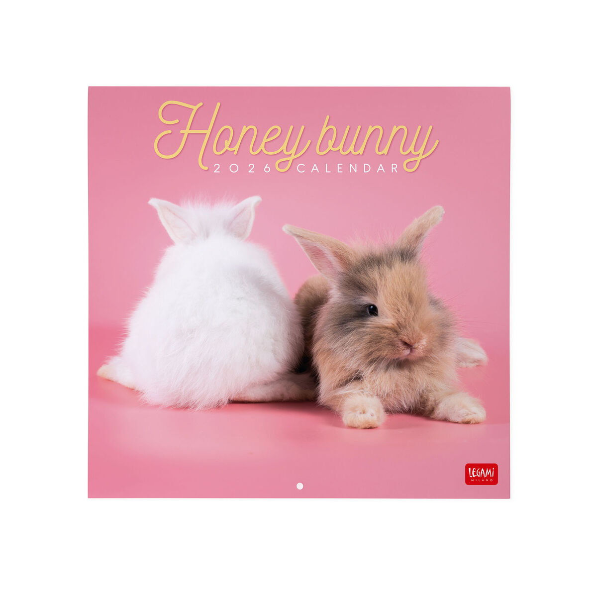 2026 Wall Calendar - 30 x 29 cm