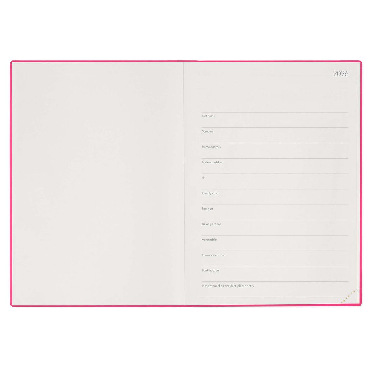 13-Month Maxi Daily Diary - 2026