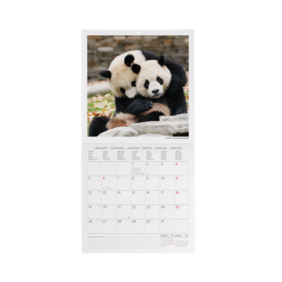 2026 Wall Calendar - 18 x 18 cm