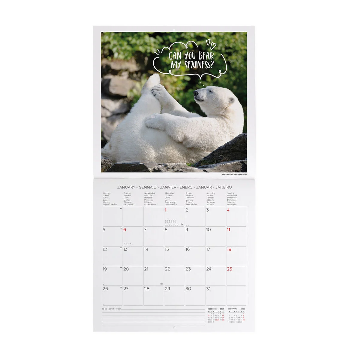 2026 Wall Calendar - 30 x 29 cm