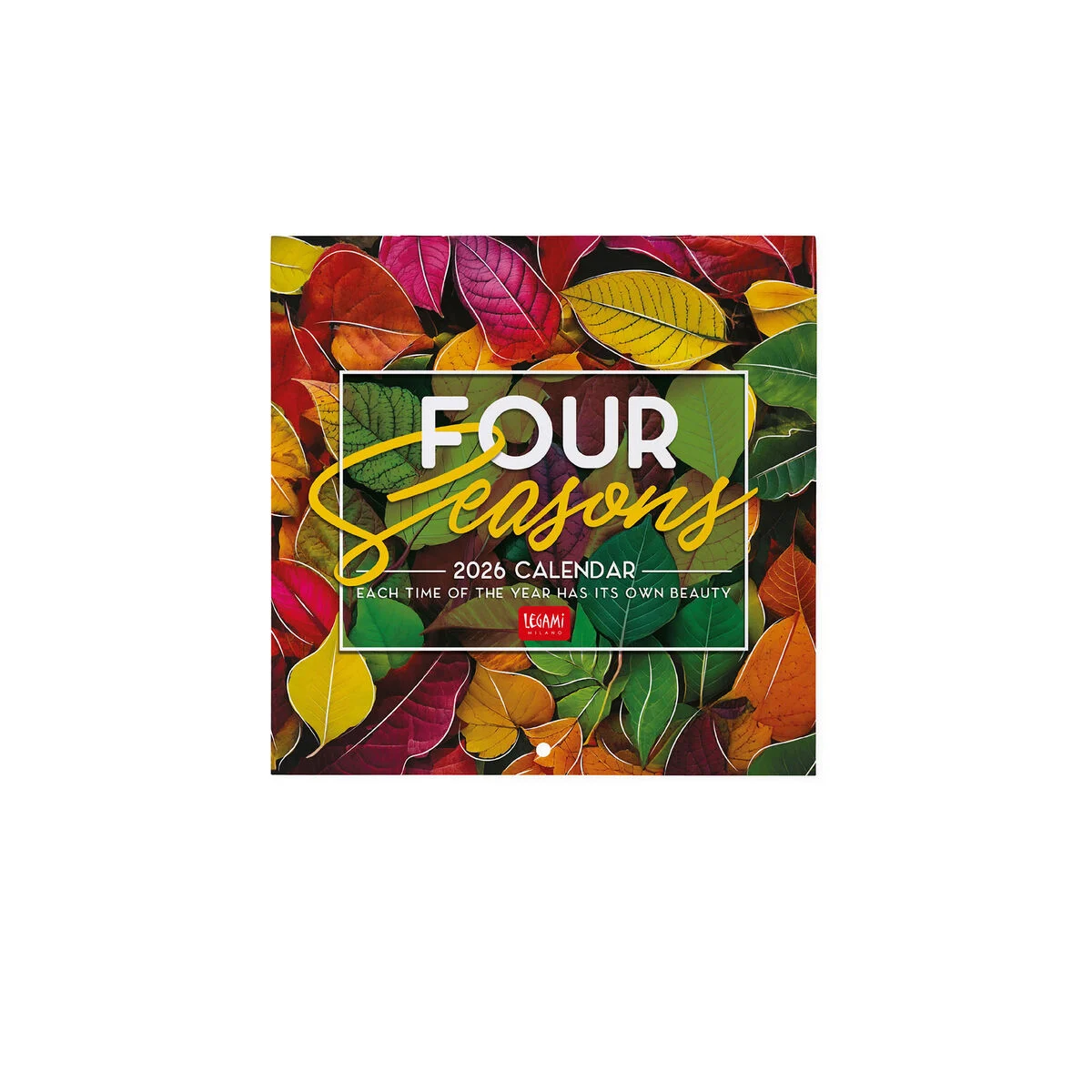 2026 Wall Calendar - 18 x 18 cm