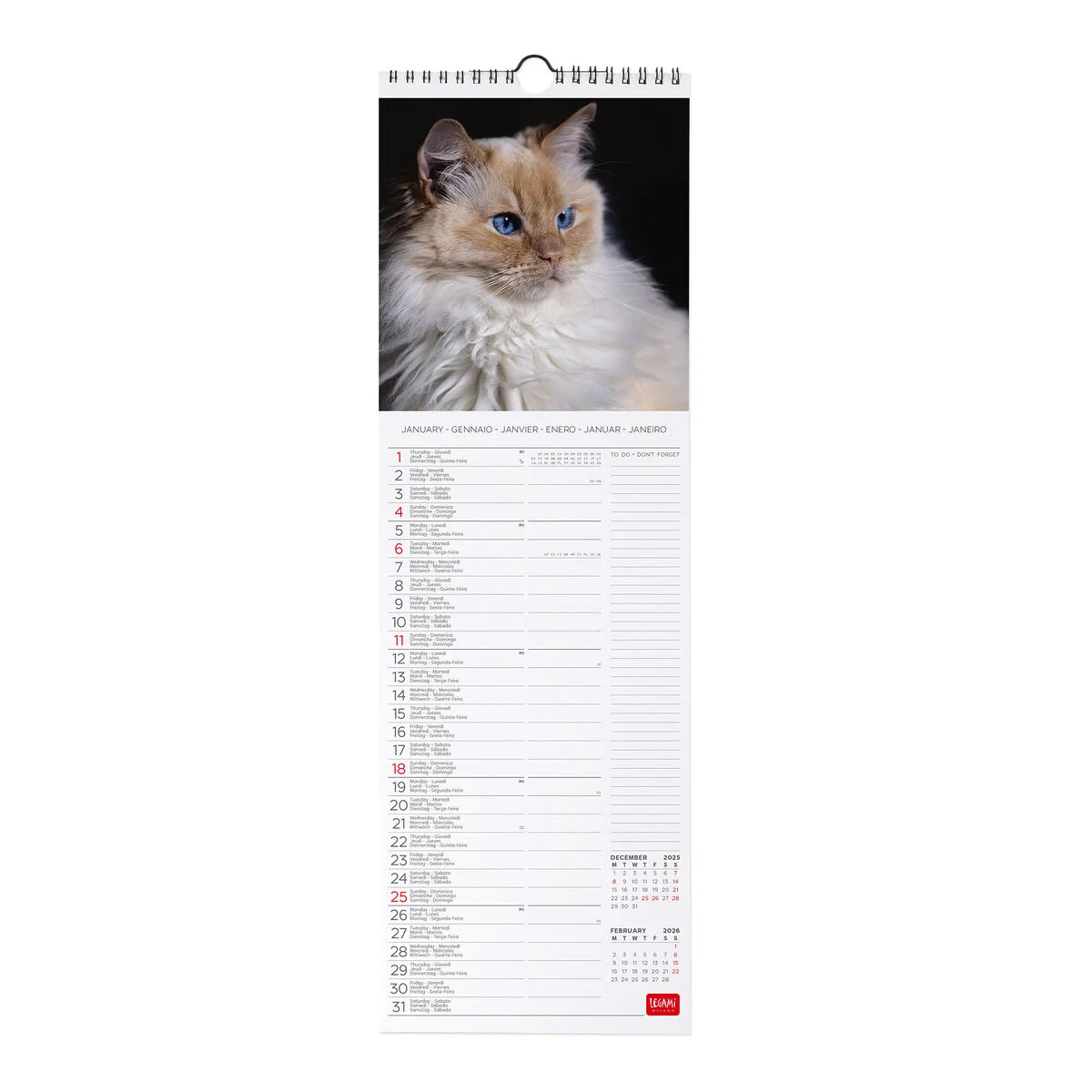 2026 Wall Calendar - 16 x 49 cm