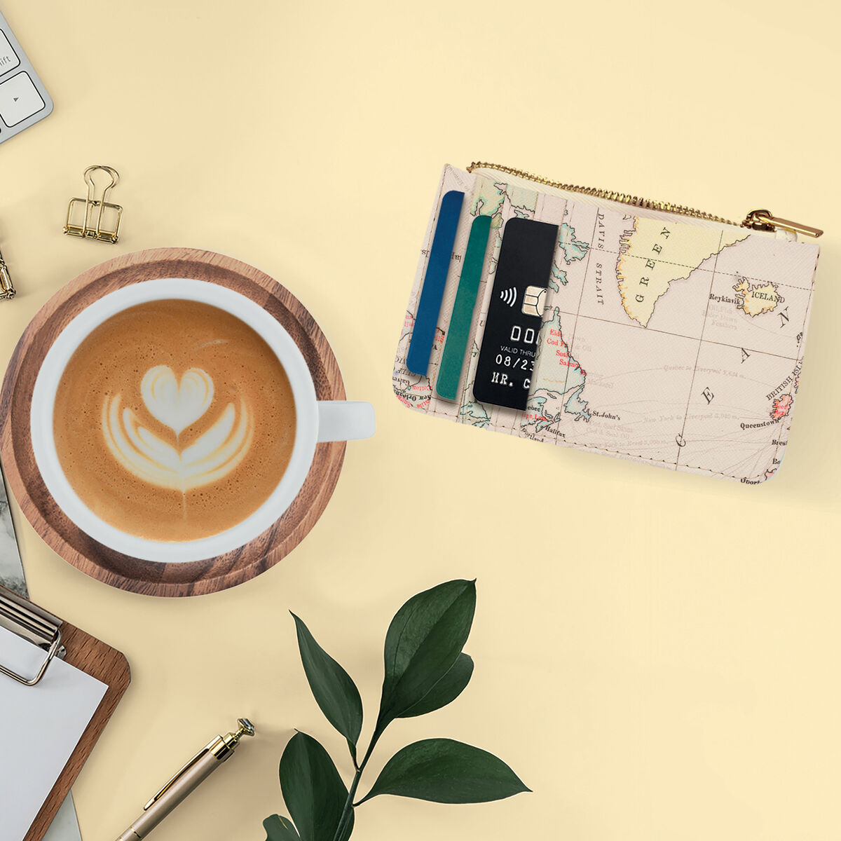 Travel Card Holder and Coin Purse - What a Card Holder!