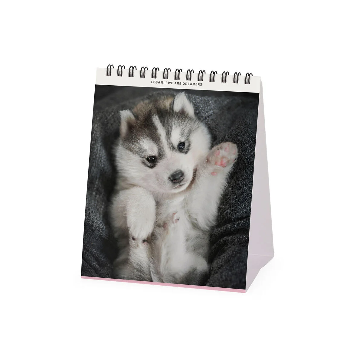 2026 Desk Calendar - 12 x 14,5 cm