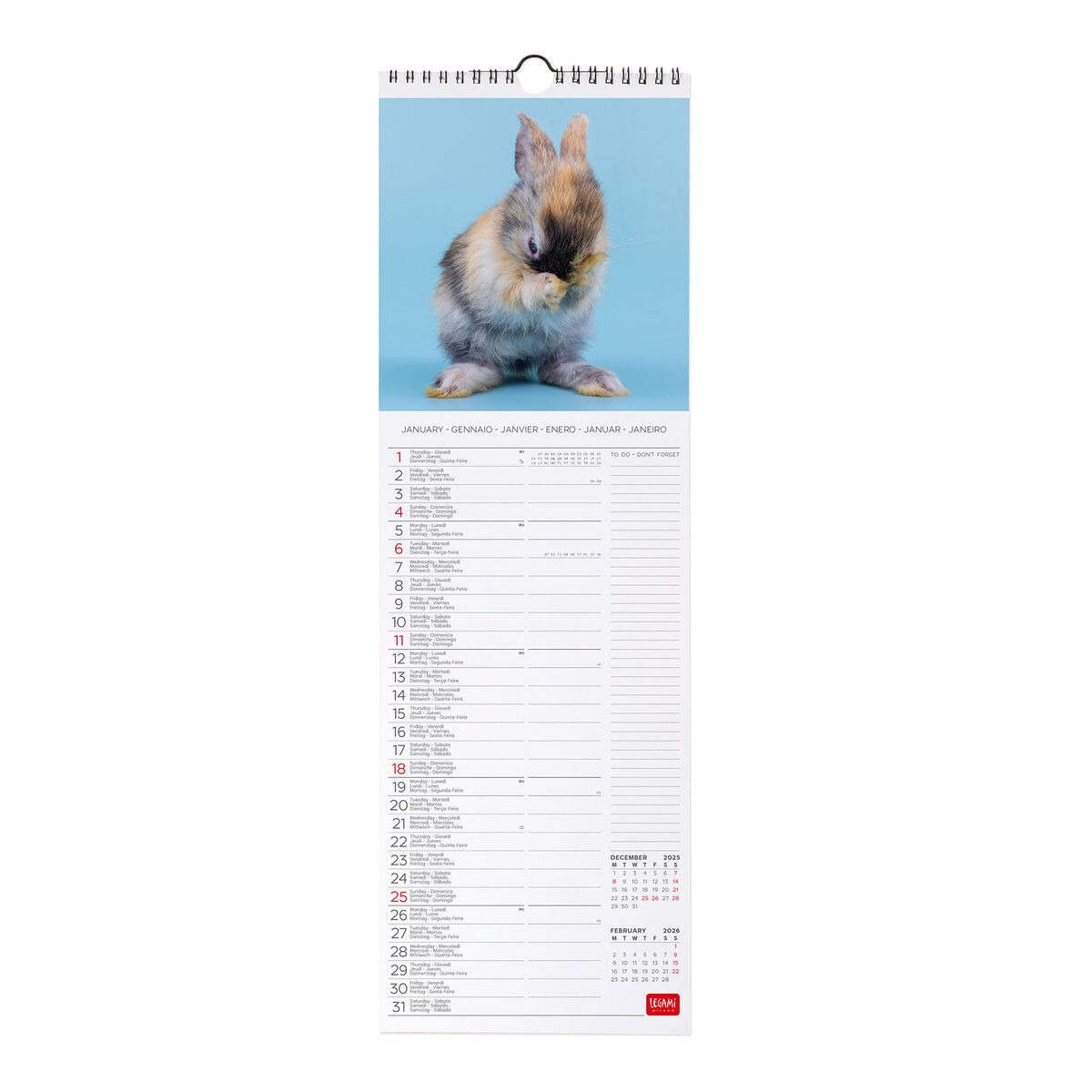 2026 Wall Calendar - 16 x 49 cm