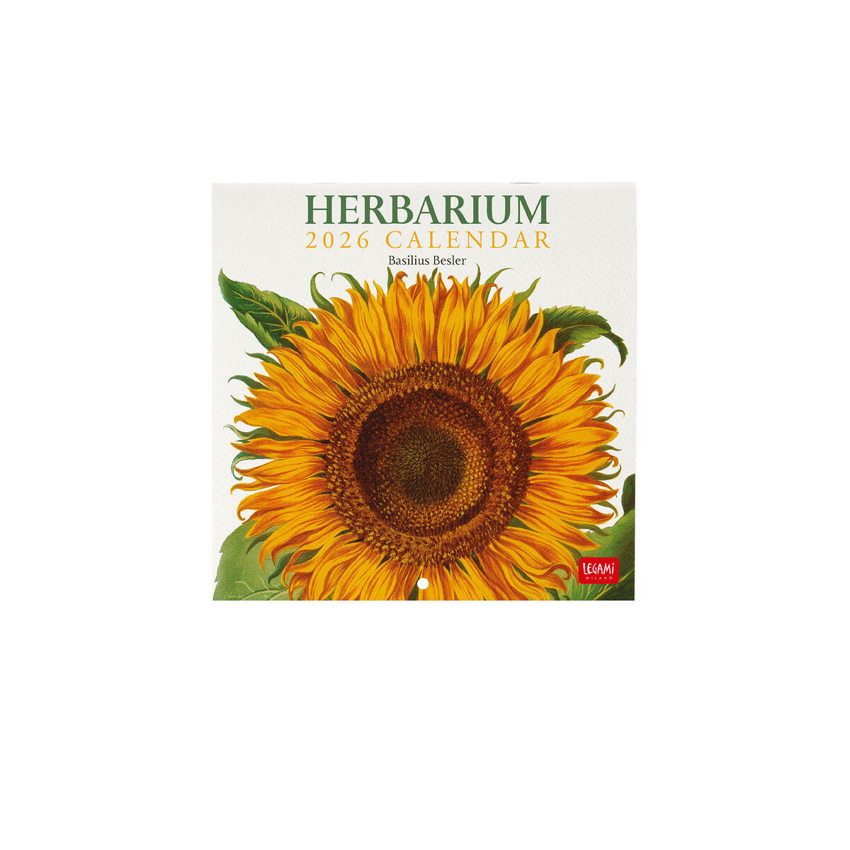 2026 Wall Calendar - 18 x 18 cm