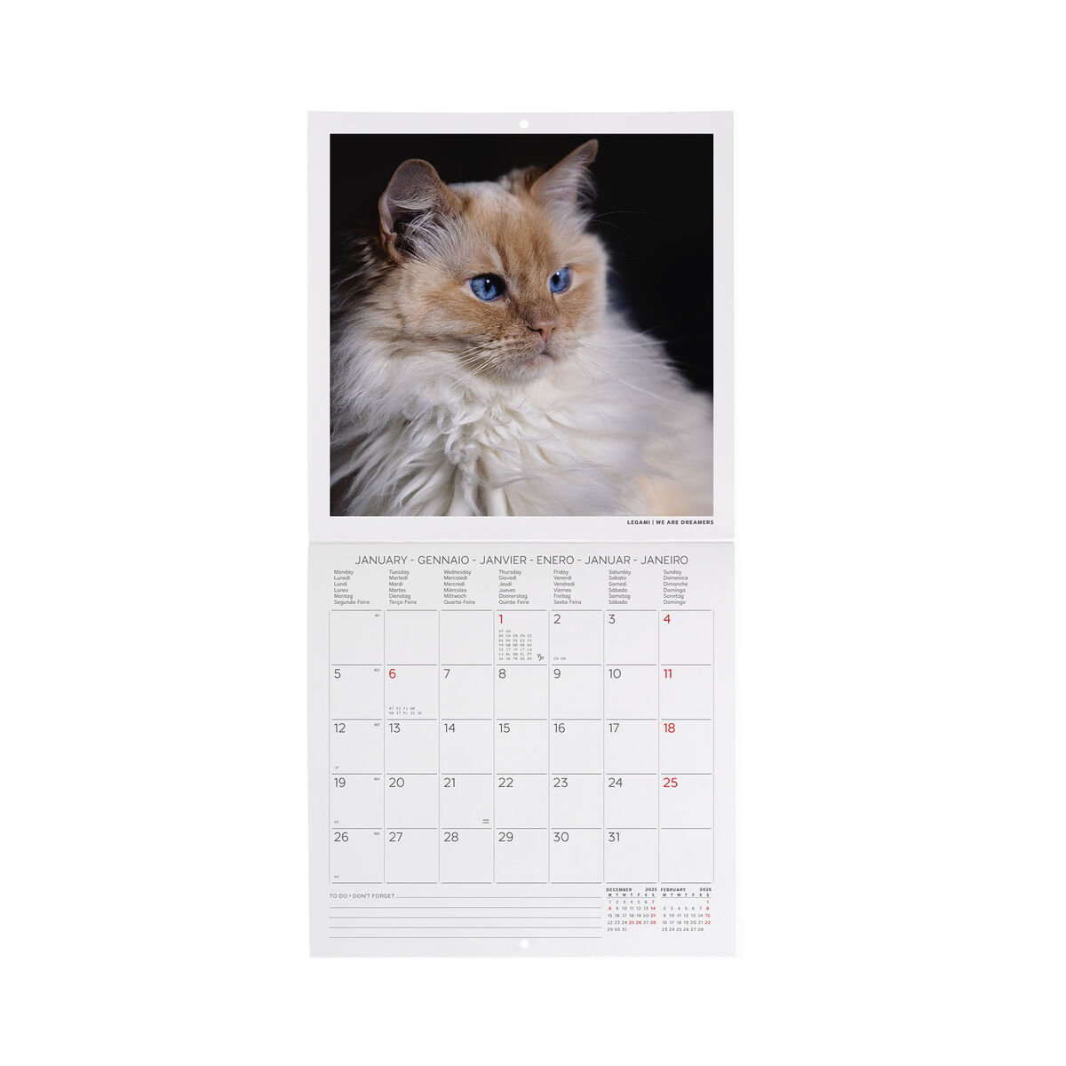 2026 Wall Calendar - 18 x 18 cm
