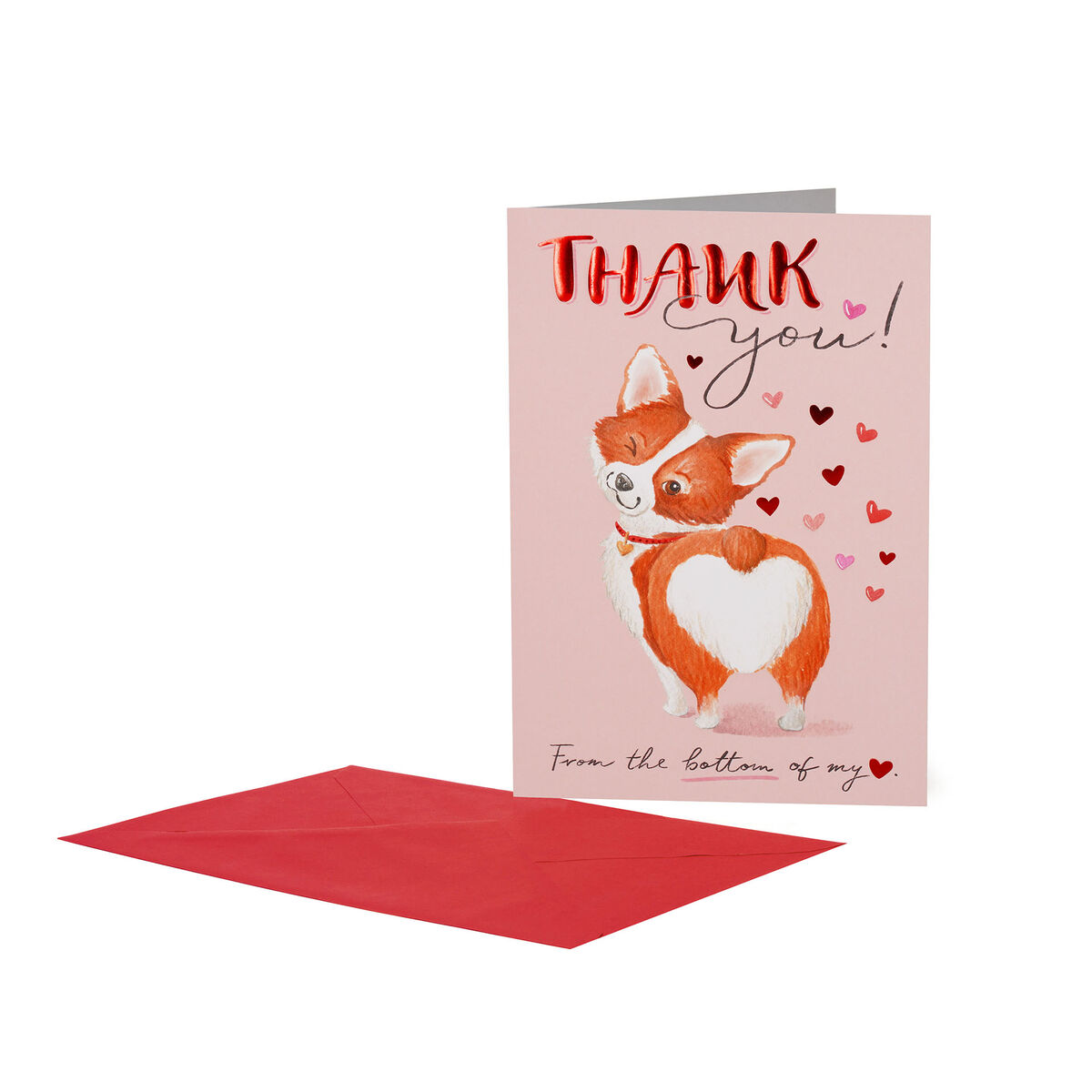 Greeting Card - Large - Various - Thank You Corgi