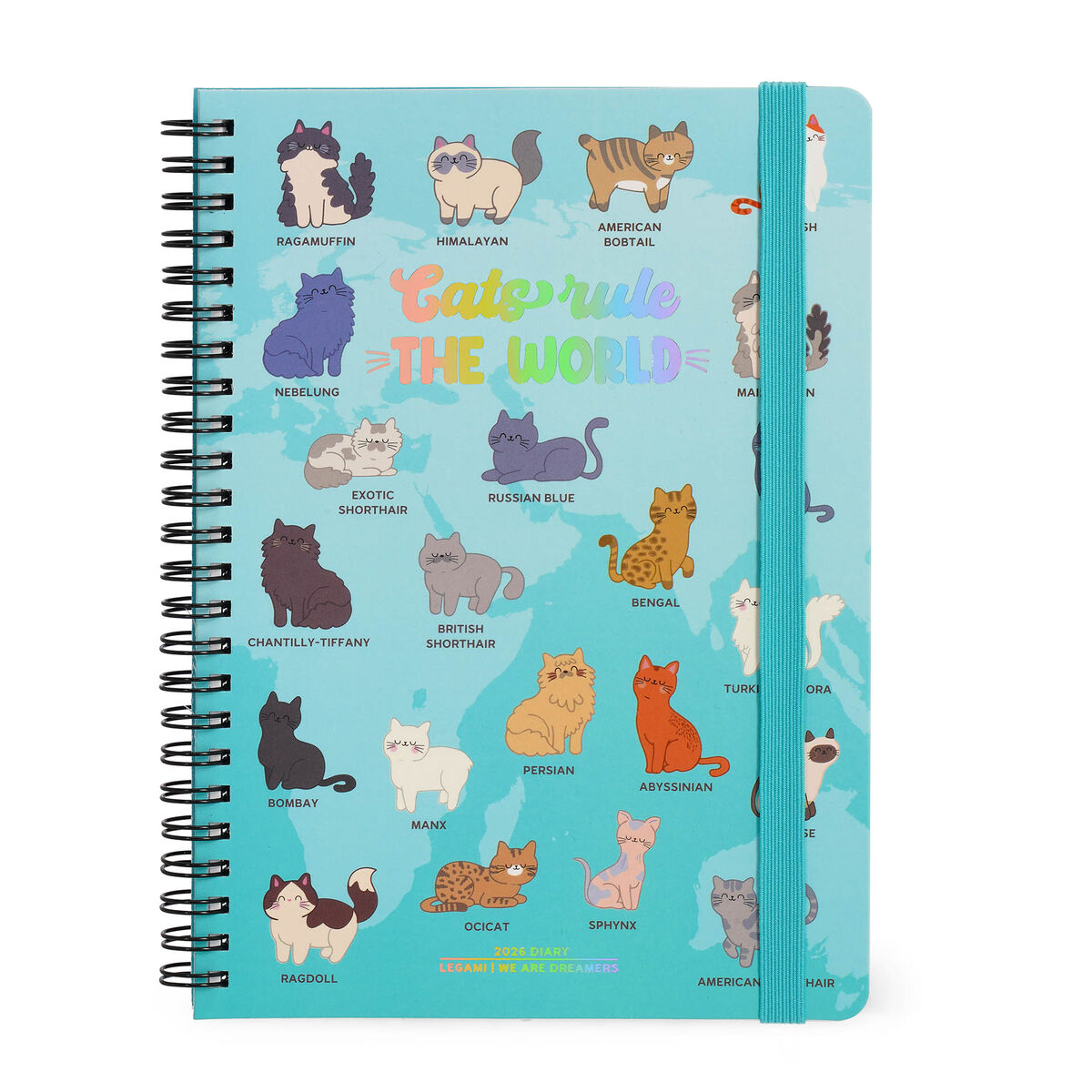 12-Month Large Weekly Spiral-Bound Diary - 2026