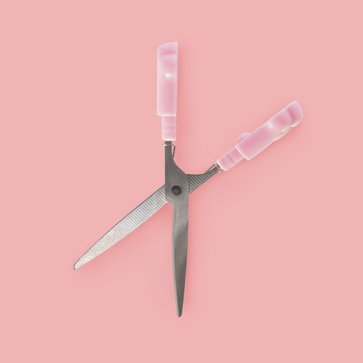 Mini Scissors - Meow