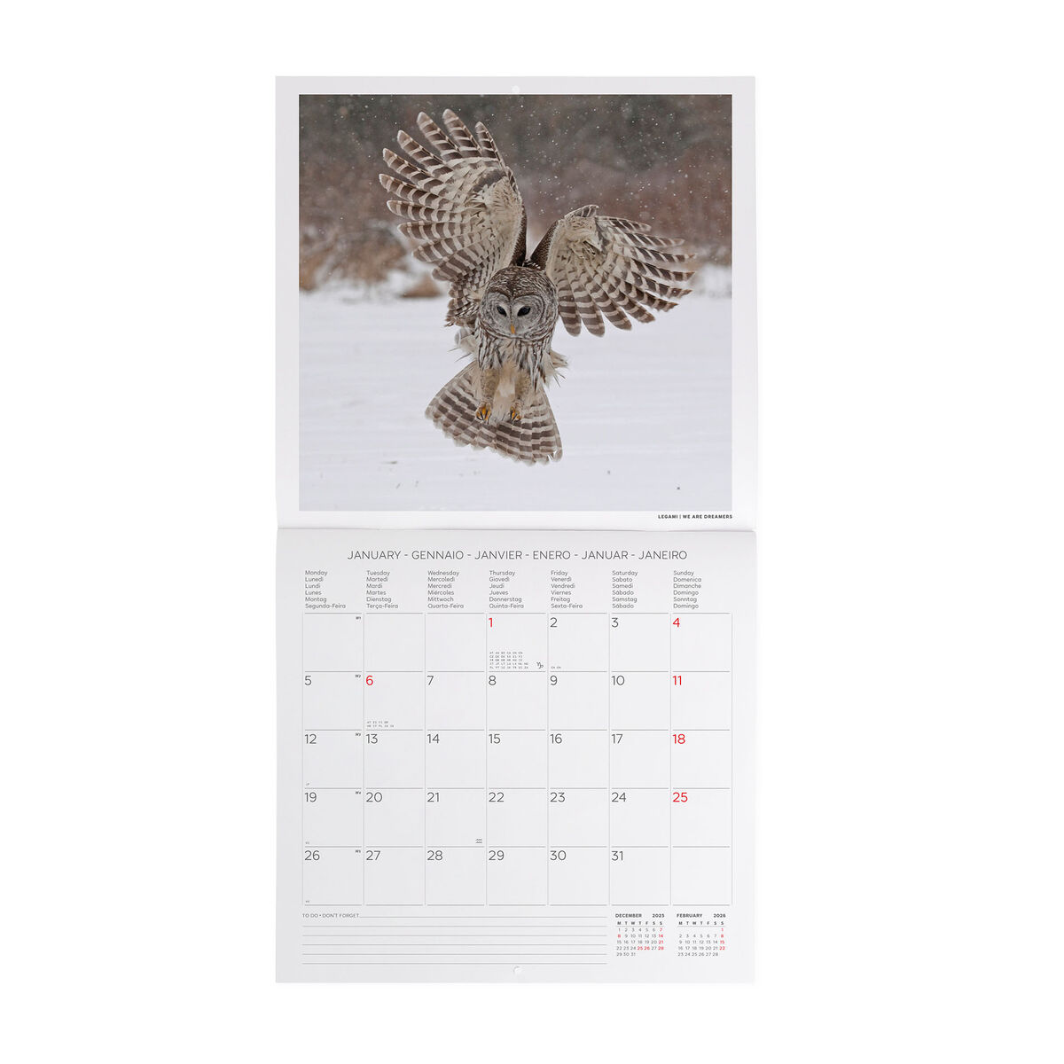 2026 Wall Calendar - 30 x 29 cm
