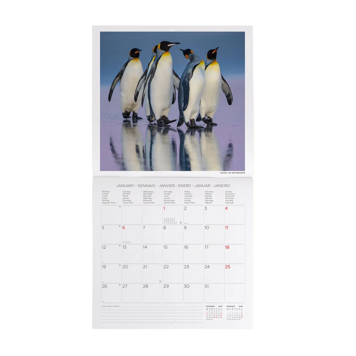 2026 Wall Calendar - 30 x 29 cm